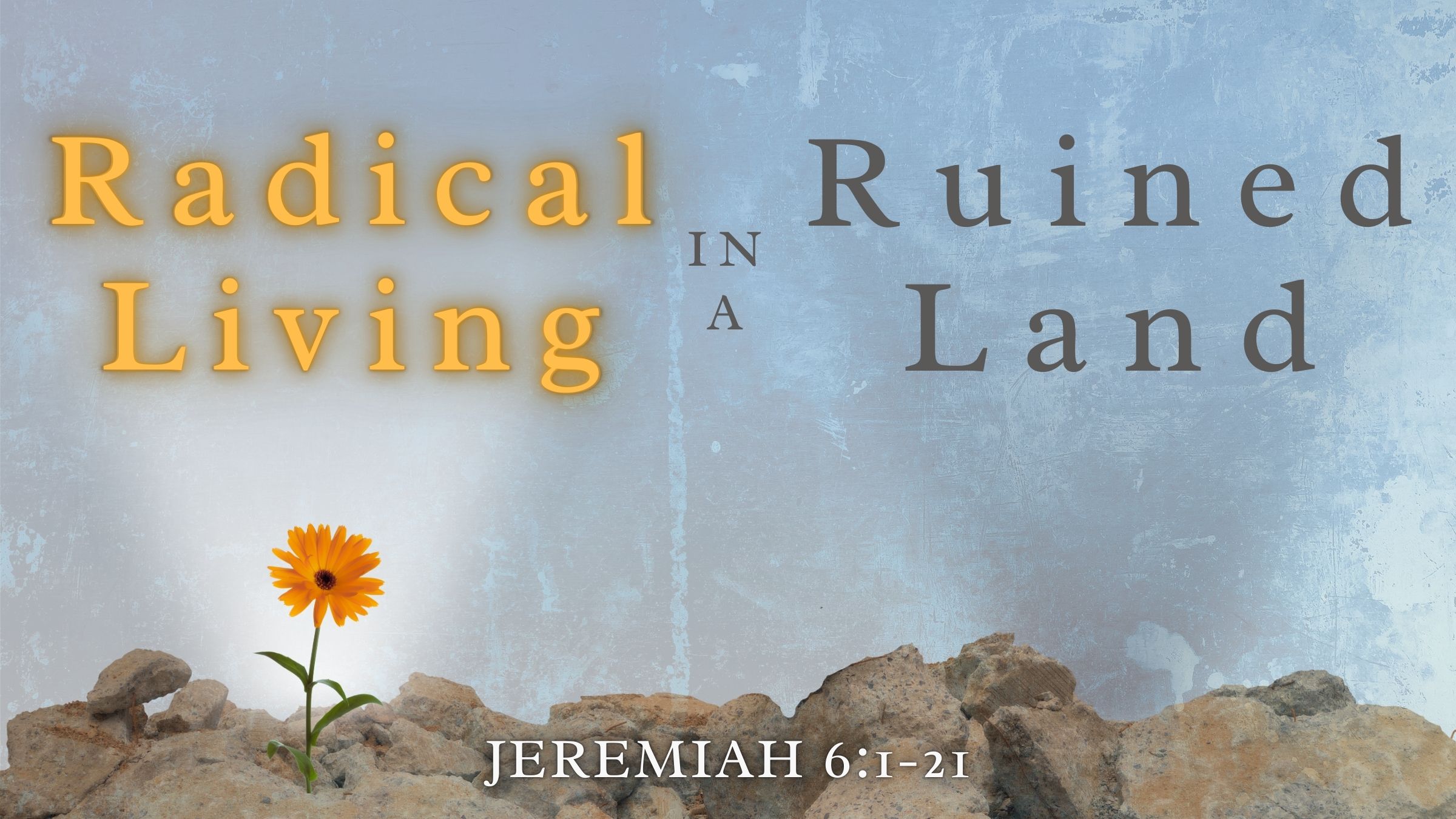 Radical Living in a Ruined Land