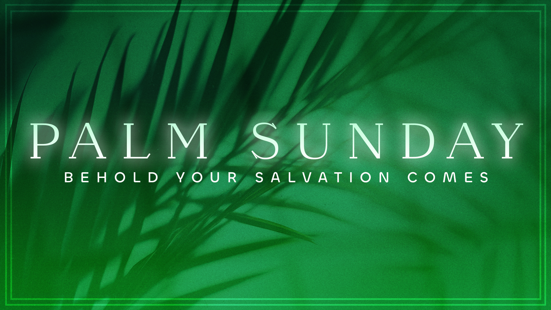 Behold Your Salvation Comes